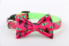 Little Green Alien Dog Collar with Removable Matching Bow Tie